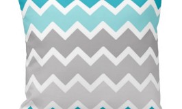 Teal Accent Pillows